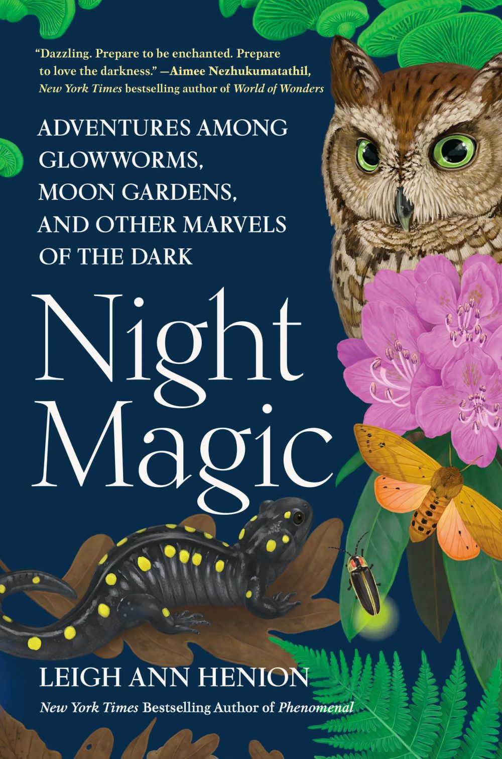 Book cover: Night Magic by Leigh Ann Henion