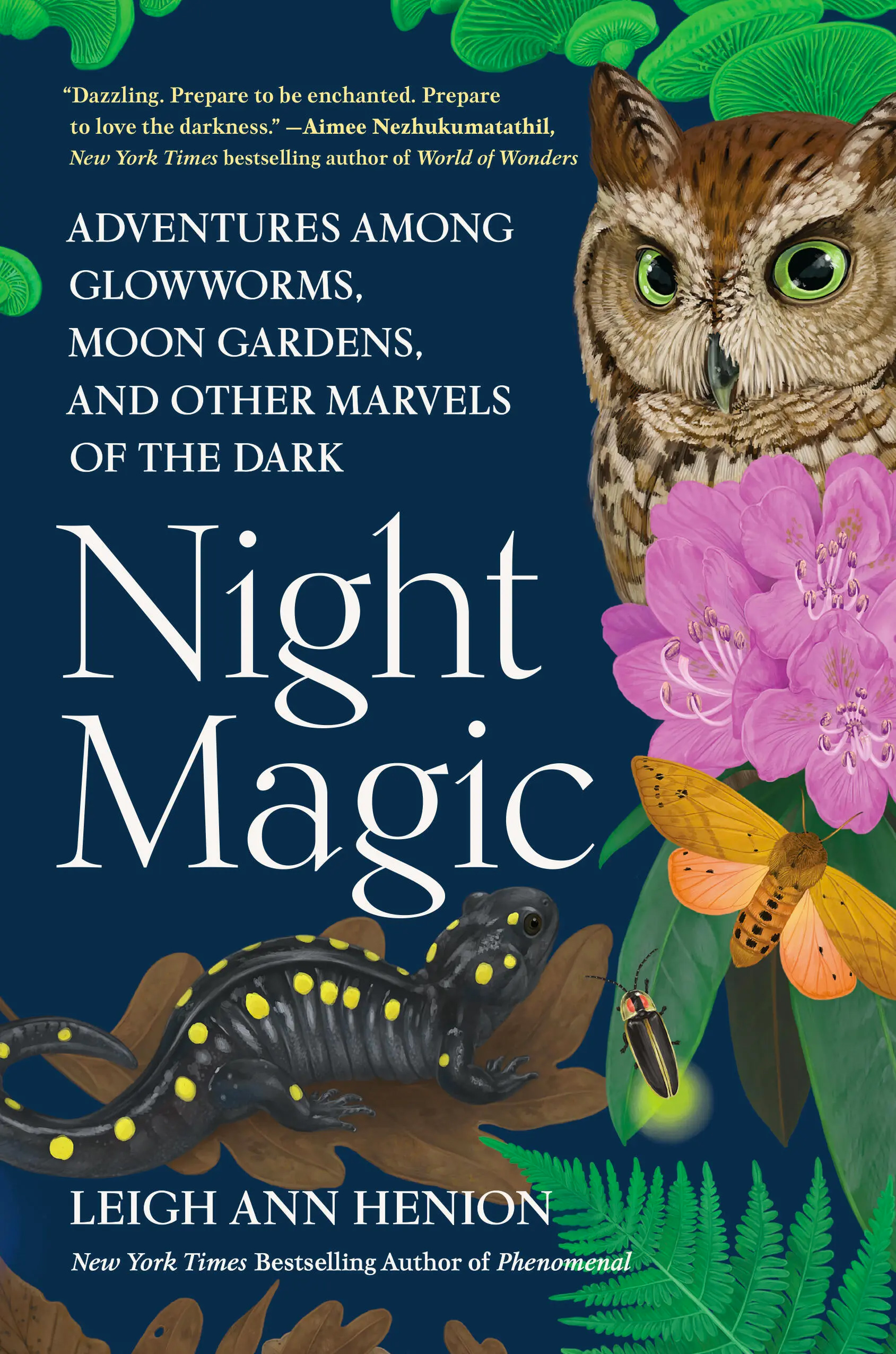 Book cover: Night Magic by Leigh Ann Henion